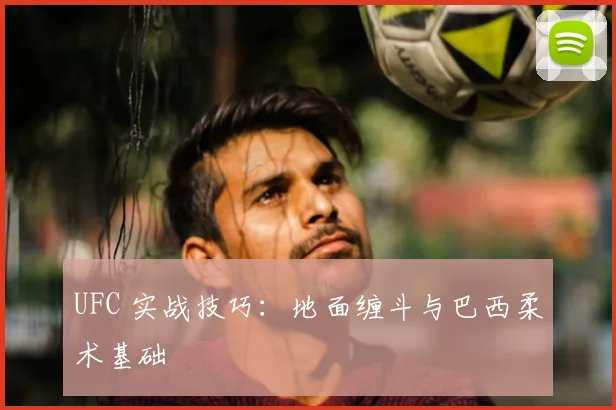 UFC 实战技巧：地面缠斗与巴西柔术基础