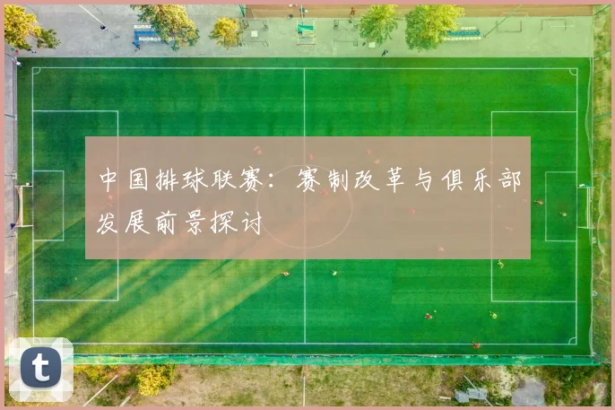 中国排球联赛：赛制改革与俱乐部发展前景探讨