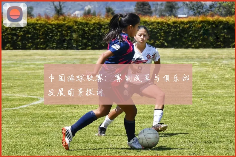 中国排球联赛：赛制改革与俱乐部发展前景探讨
